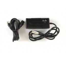 Pride Go-Go LX with CTS 2 Amp Battery Charger