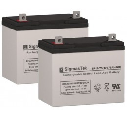 Rascal 655 Scooter Replacement Battery (2 Batteries)