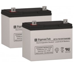 Invacare 3G Storm Arrow Replacement Battery (2 Batteries)