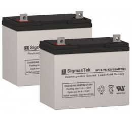 Invacare 3G Storm Ranger X Replacement Battery (2 Batteries)