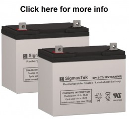 Merits S331 and S341 Scooter Replacement Battery (2 Batteries)
