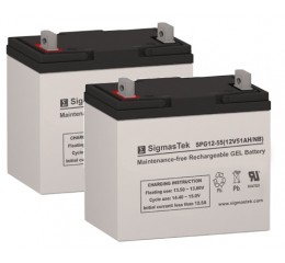 SigmasTek SPG12-55 NF-22 Sealed Lead Acid Gel Battery (2 Batteries)