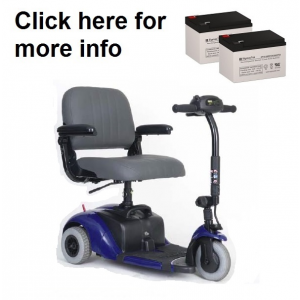 Golden BuzzAround GB101 / GB104 Scooter Replacement Battery (2 Batteries)