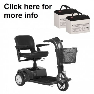 Golden Companion I and II Scooter Replacement Battery (2 Batteries)