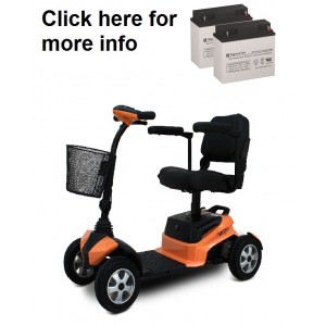 EV Rider RiderXpress Scooter Batteries (2 Batteries)
