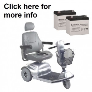 Golden Avenger GA531 / GA541 Scooter Replacement Battery (2 Batteries)