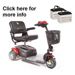 Golden BuzzAround EX Scooter GB118 Replacement Battery (2 Batteries)