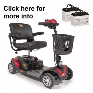 Golden BuzzAround EX GB149 Scooter Replacement Battery (2 Batteries)