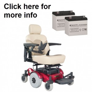 Golden Compass Power Wheelchair Replacement Battery (2 Batteries)