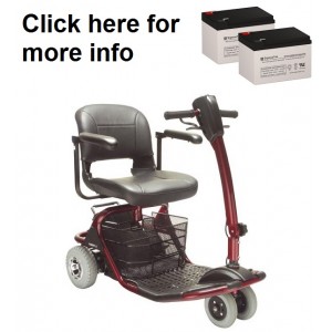 Golden Liteway GL100 Scooter Replacement Battery (2 Batteries)
