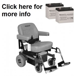 Hoveround Teknique RWD Replacement Battery (2 Batteries)