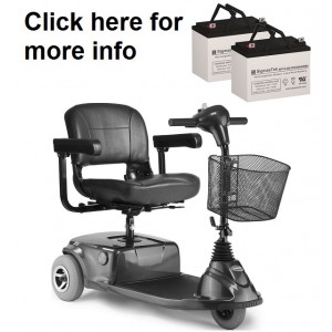 Invacare Lynx L-3X Scooter Replacement Battery (2 Batteries)
