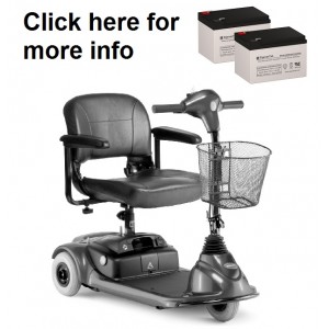 Invacare Lynx L-3 and L-4 Replacement Battery (2 Batteries)