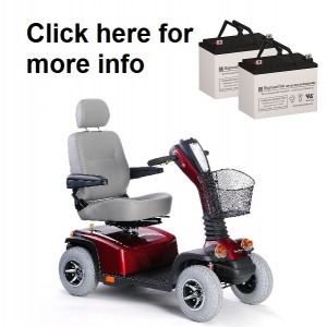 Pride Mobility Hurricane 2005 Replacement Battery (2 Batteries)