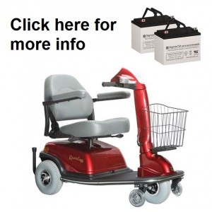 Rascal 600 Models C, F, T Scooter Battery (2 Batteries)