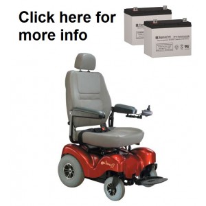 Rascal 710 PC Power Wheelchair Replacement Battery (2 Batteries)