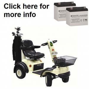 Shoprider GolfRider Scooter Replacement Battery (2 Batteries)
