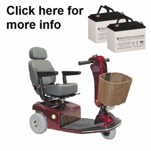 Shoprider Sunrunner 3 and 4 Wheel Scooter Battery (2 Batteries)