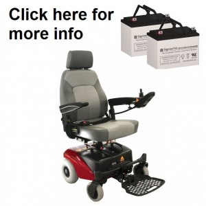 Shoprider Trooper Replacement Battery (2 Batteries)