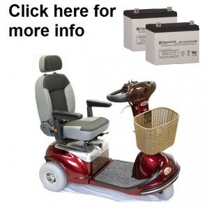 Shoprider Sprinter XL3 and XL4 Deluxe Scooter Battery (2 Batteries)