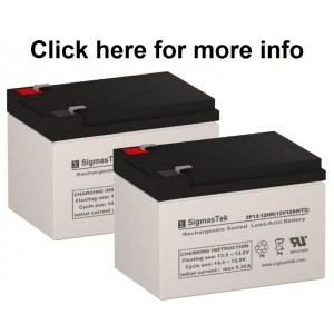Merits Pioneer 5 Scooter Replacement Battery (2 Batteries)