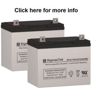 Pride Mobility PX4 Scooter Replacement Battery (2 Batteries)