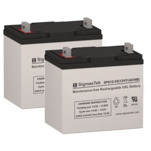 SigmasTek SPG12-55 NF-22 Sealed Lead Acid Gel Battery (2 Batteries)